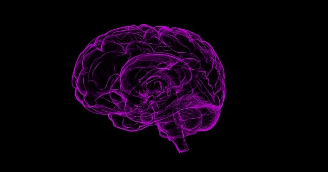 Neuromarketing y venta sugestiva